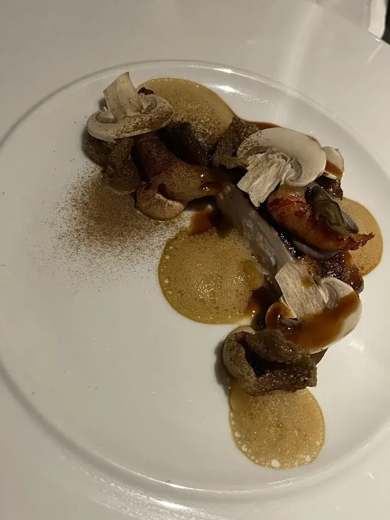 Natasha Haesaerts_Ember_Mechelen_avis