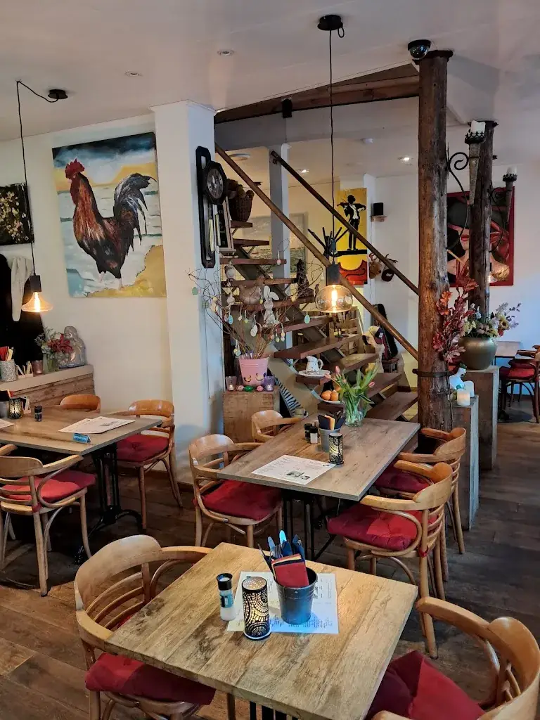 Marcel Ina (Krokodyl)_Le Coq_Baarle-Hertog_avis