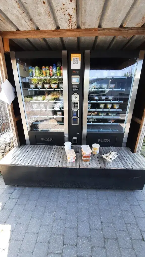 Daniel Sinclair_Time for Thai_Lommel_review