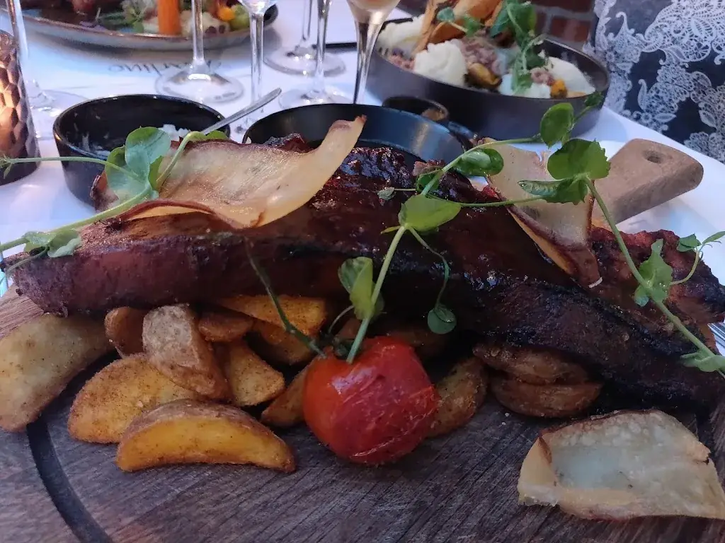 Rob Loos_Martino_Meerhout_review