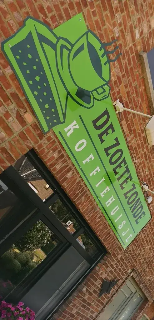 Gert-Jan Jonkman_De Zoete Zonde_Meerhout_review