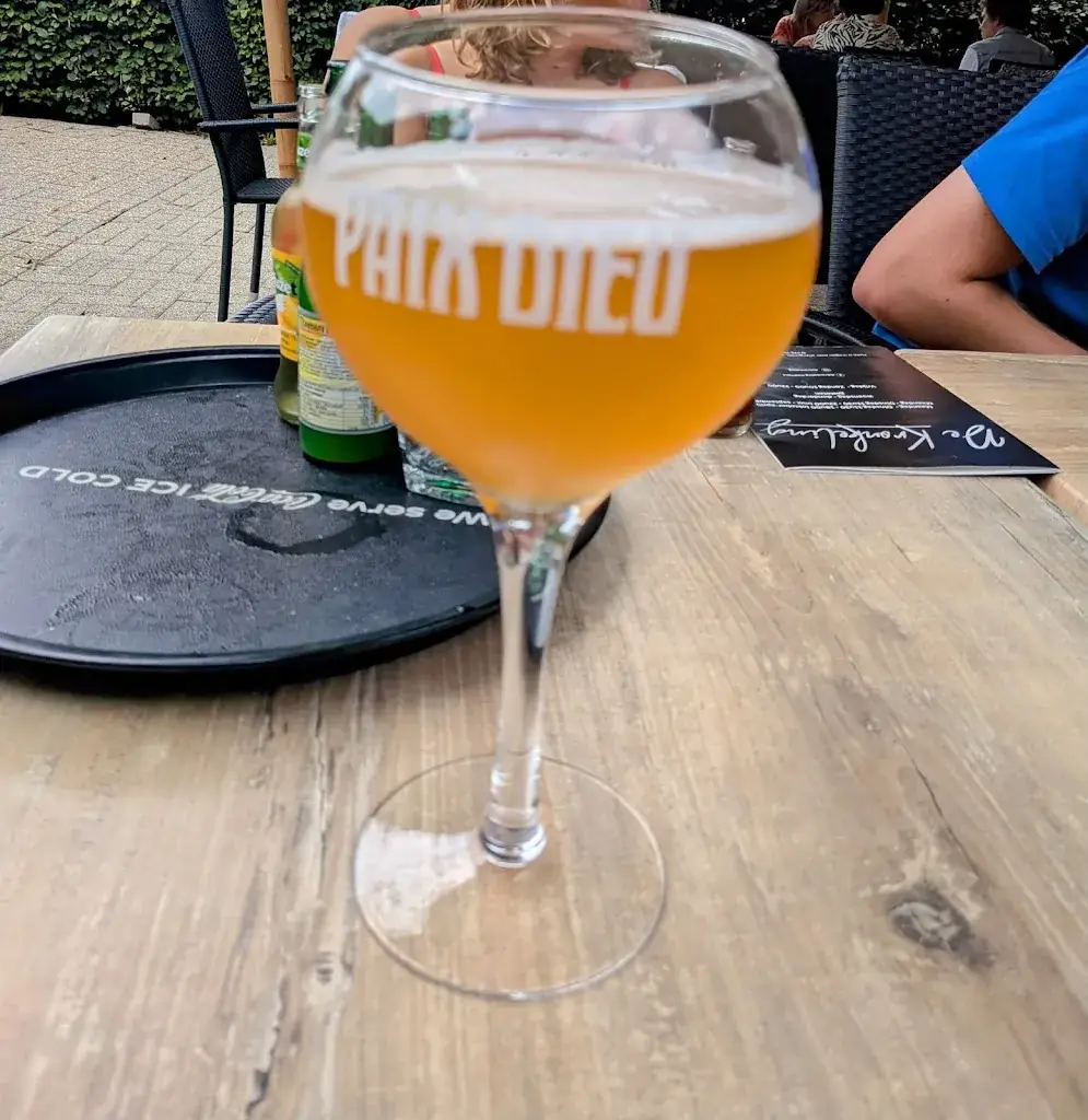 Niels Coopmans_De Kronkeling_Meerhout_review