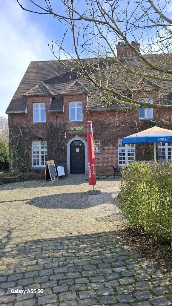 Sonja Dol_Den Doktoor_Meerhout_review