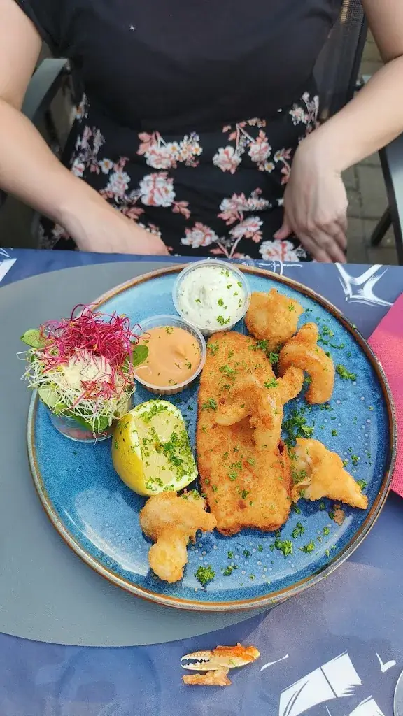 lander de ridder_Cornucopia_Merchtem_review