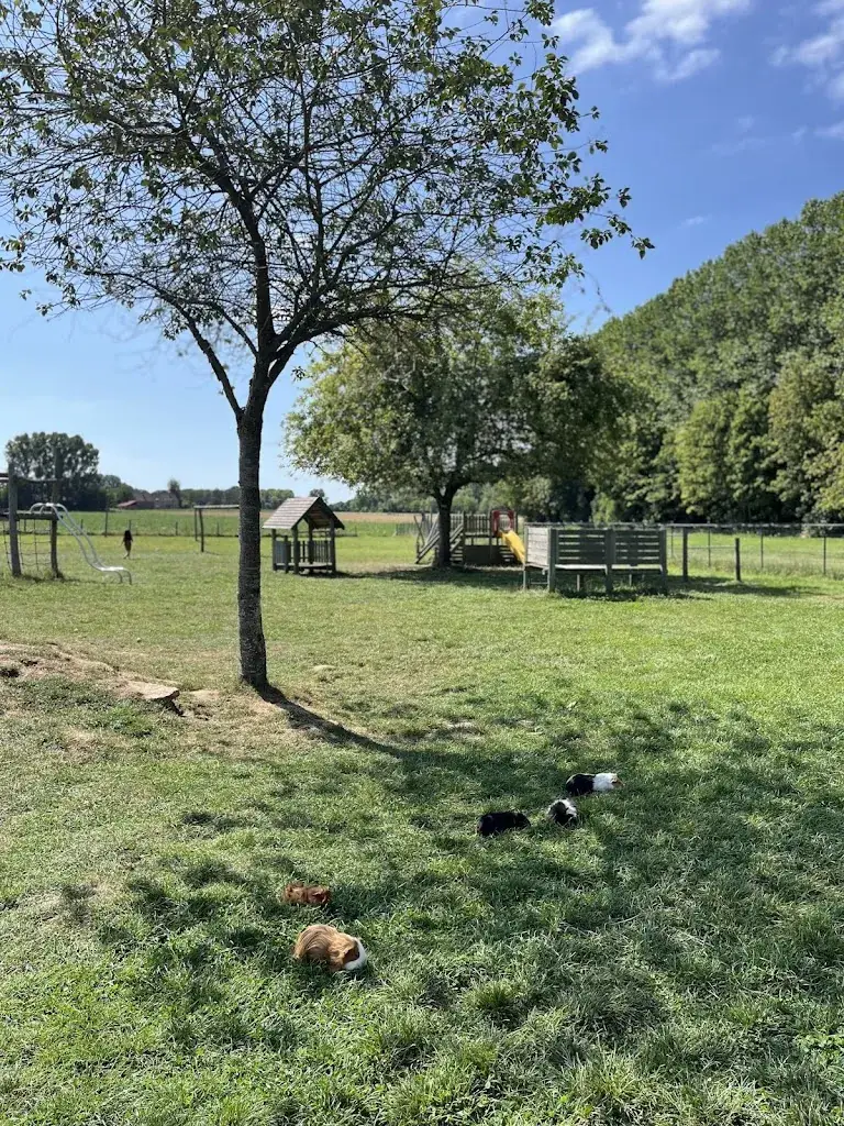 Het Bos_Merchtem_slider_image_3