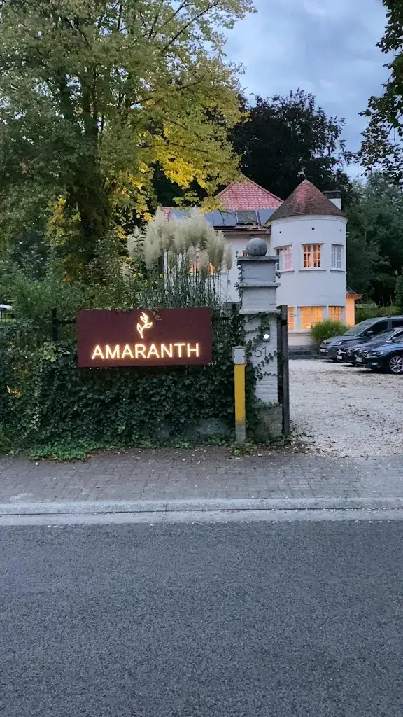 Christel Morvan (Nesisart)_Amaranth_Merelbeke-Melle_avis