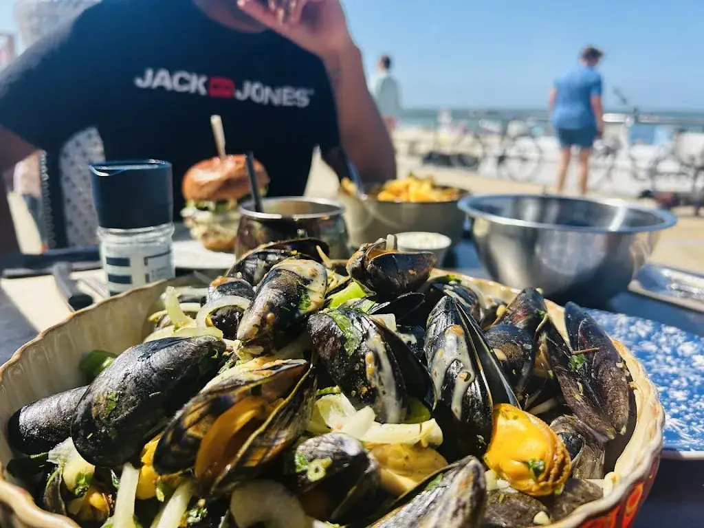 Cintia Lieveld_Mister Monkey_Middelkerke_avis