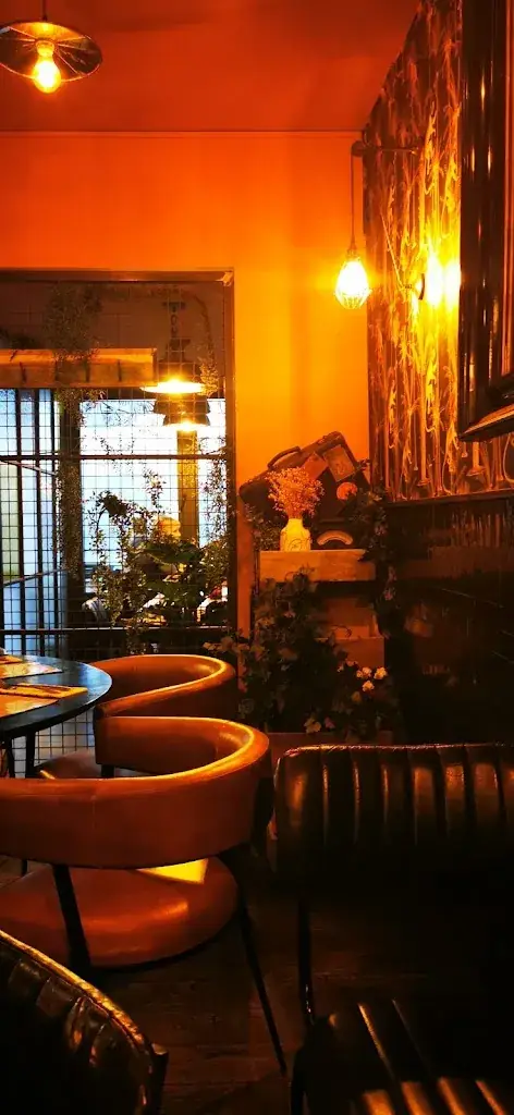 Nancy Declerck_Mister Monkey_Middelkerke_avis