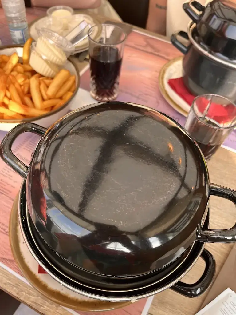 Zlata Dog cat_De Zeebries_Middelkerke_review