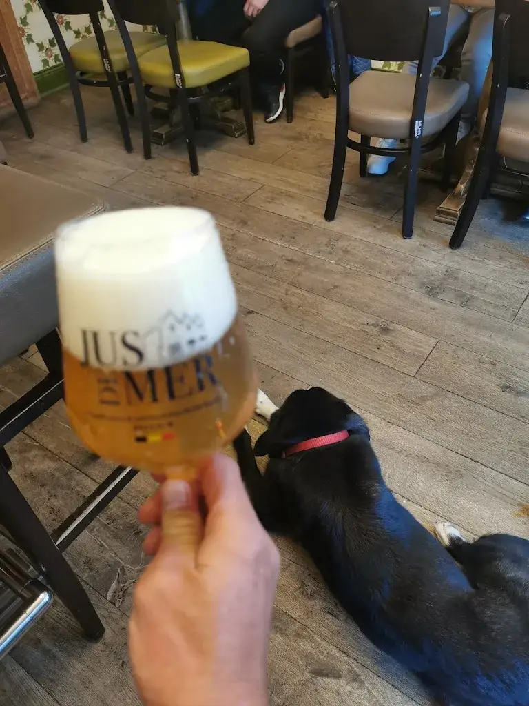 Ole Nowak_Den Toogoloog_Middelkerke_Bewertung