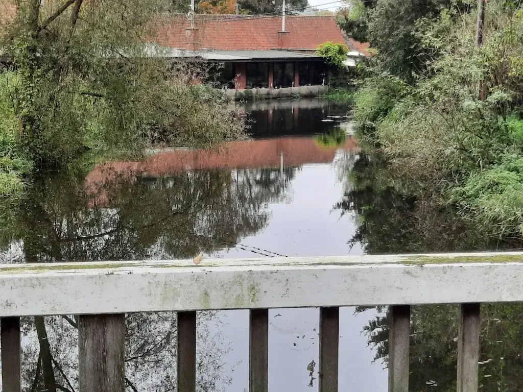 Luu Marc De Maesschalck Behiels_Palingshof Mieken Smet_Lokeren_review