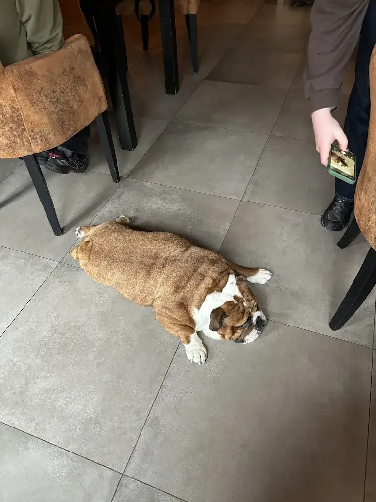 Libbie Geason_Petit Peu_Lokeren_review