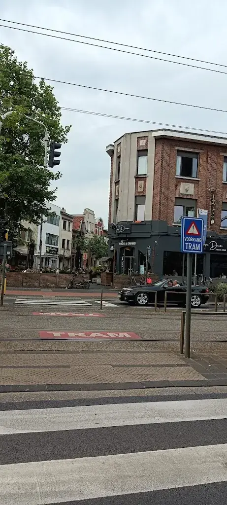 Наталья Райкоглова_Carpe Diem_Mortsel_avis