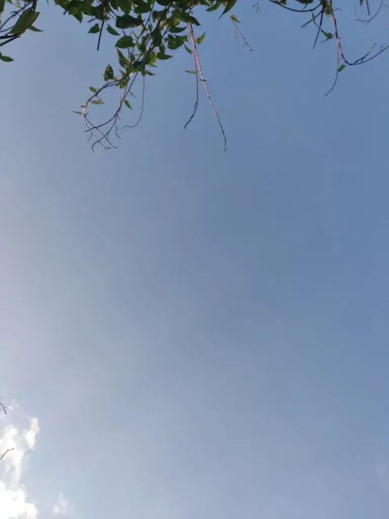 Tom Van Looy_De Garderobe_Mortsel_review