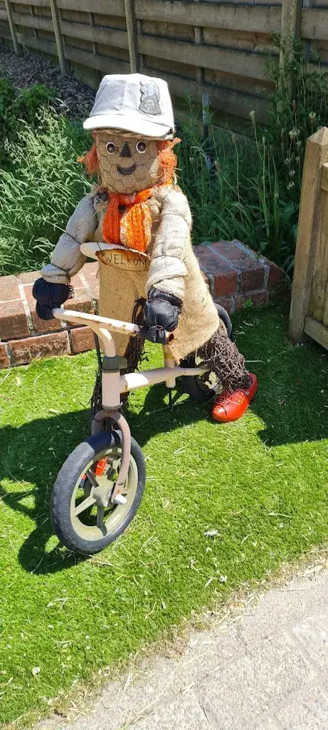 Nicole Milaents_Café Breebos_Merksplas_review