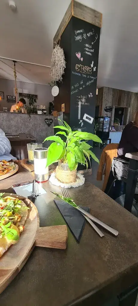 Vina Faramarzi_De Maderij_Pelt_avis