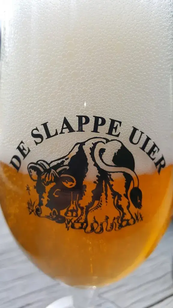 Joris Cuppens_Slappen uier_Nijlen_review