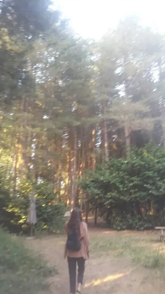 Javier Smith Paterson_De Beemden_Nijlen_review