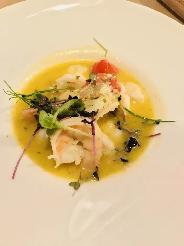 Barbara Fava_Trenta-Sette_Olen_review