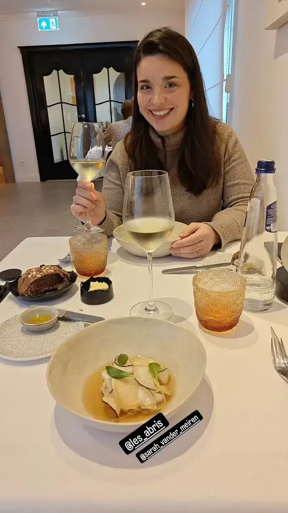 Gertjan Persoons_Les Abris_Zottegem_reseña