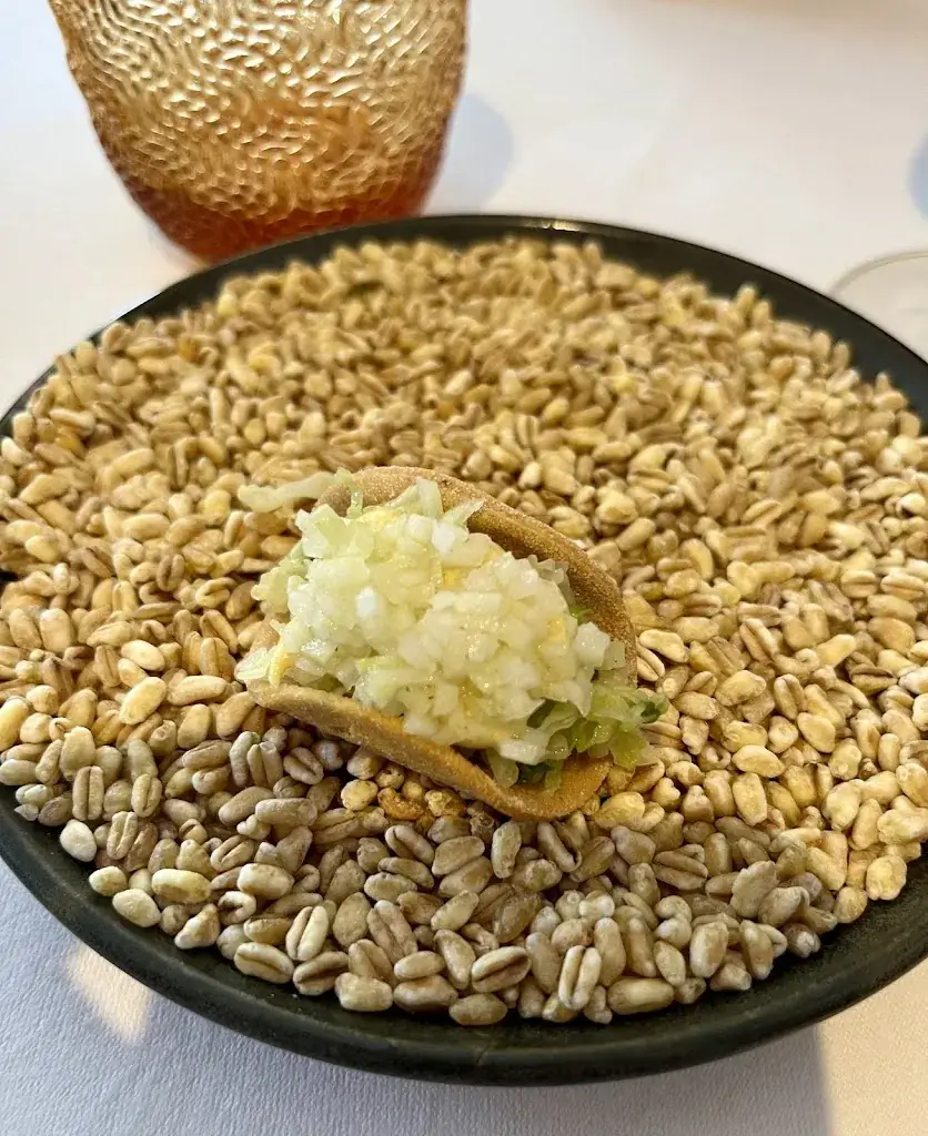 Joury De Mezel_Les Abris_Zottegem_reseña