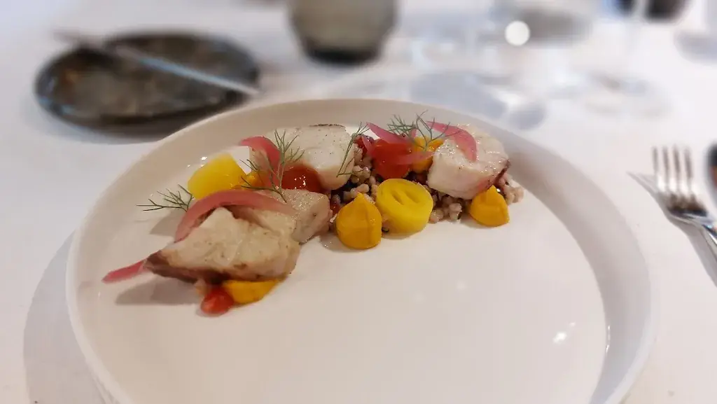 Dries Roekaerts_Oltra_Ninove_avis