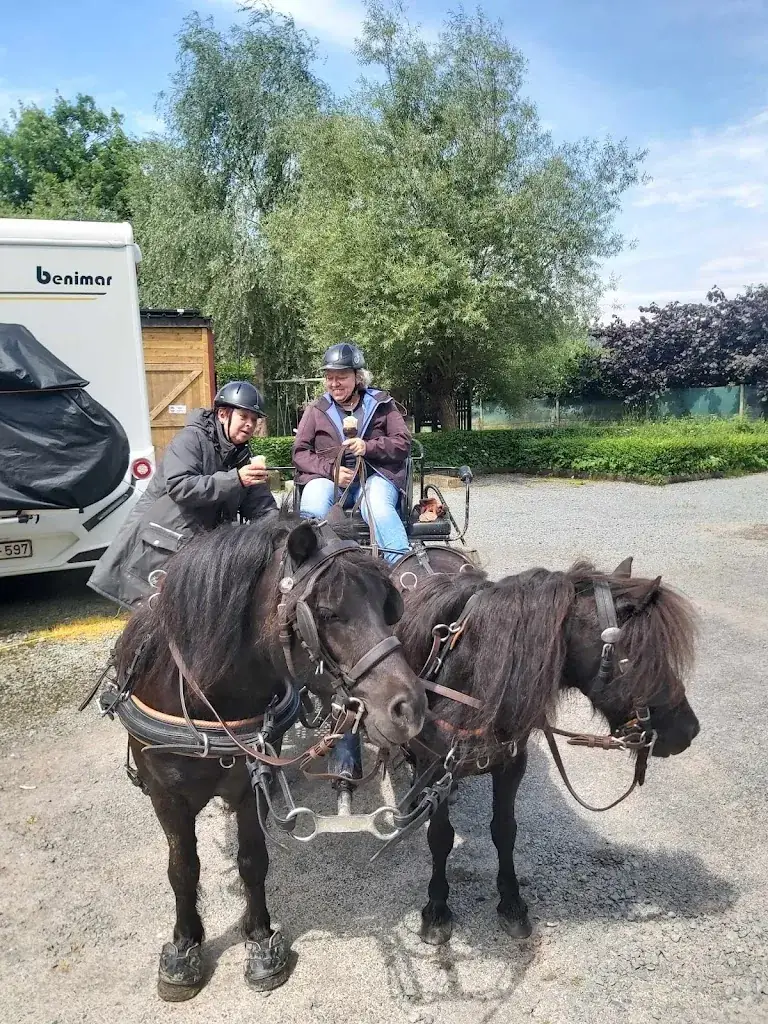 Anne Neckebroeck_Taverne De Kroon_Ninove_review