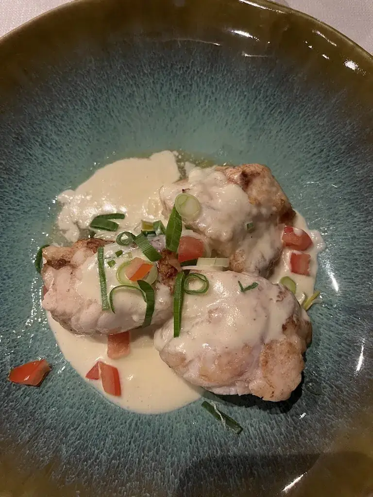 Belli G.Lifestyle (Belli.G)_Sachs_Oostkamp_reseña