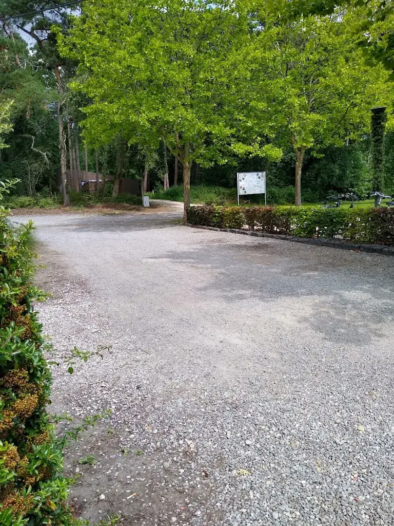 allen williams_Burcht Hertog Jan_Oud-Turnhout_avis