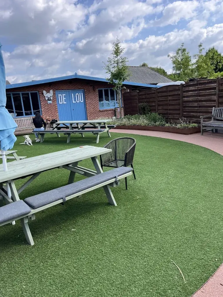 Adam Szczepanski_De Lou_Pelt_Bewertung