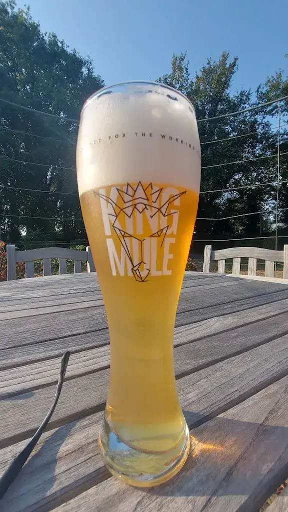 Christian_Orshof_Oudsbergen_review