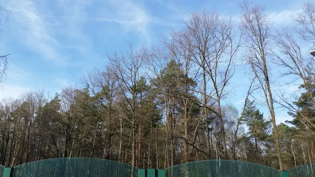 Geert Hendriks_Winston 2 bvba_Oudsbergen_review