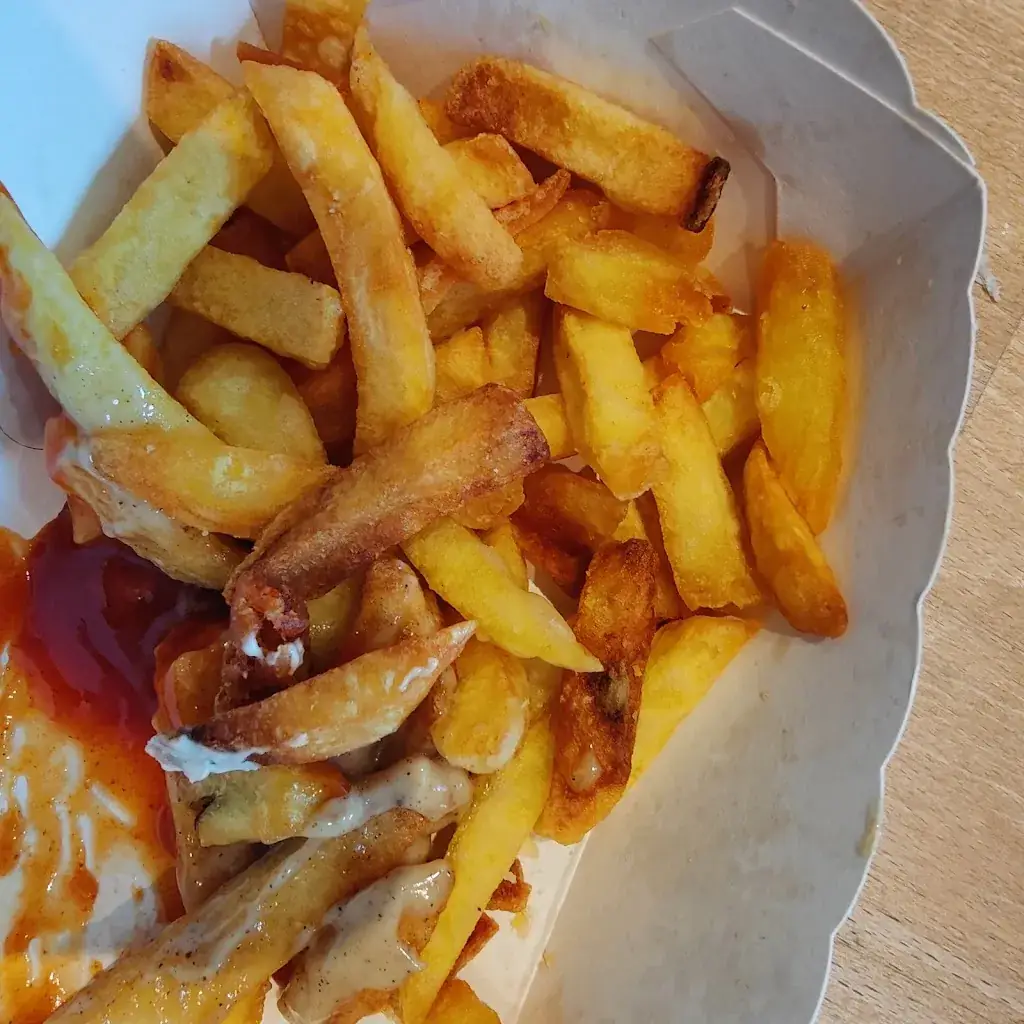 sardonis I_Frituur Brutus_Oudsbergen_review