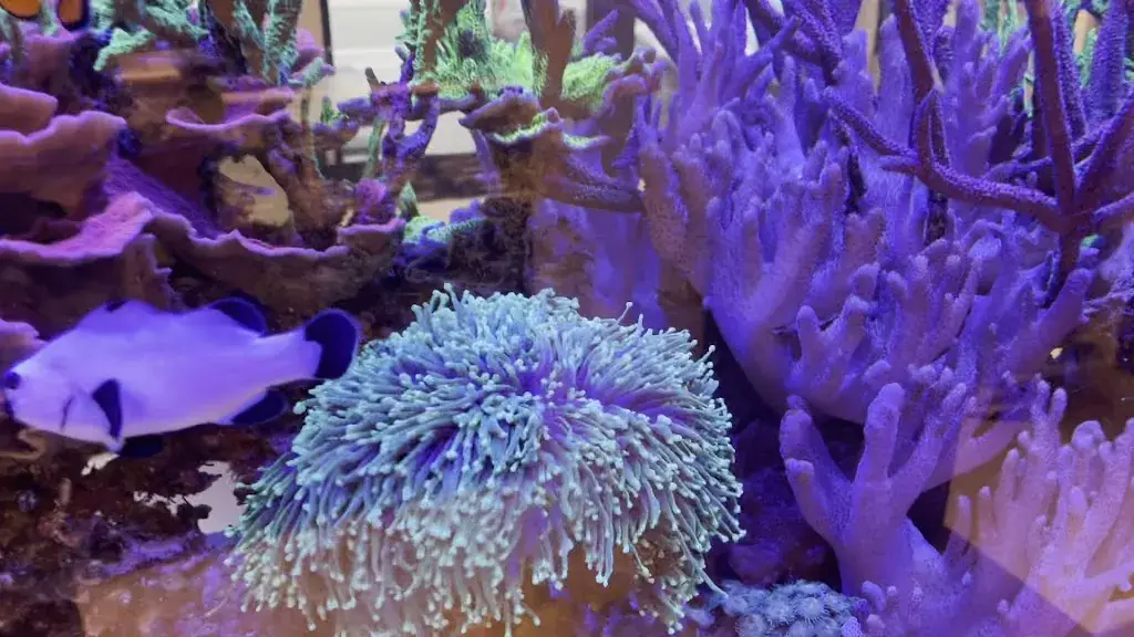 E O_Eat@Home_Oudsbergen_reseña