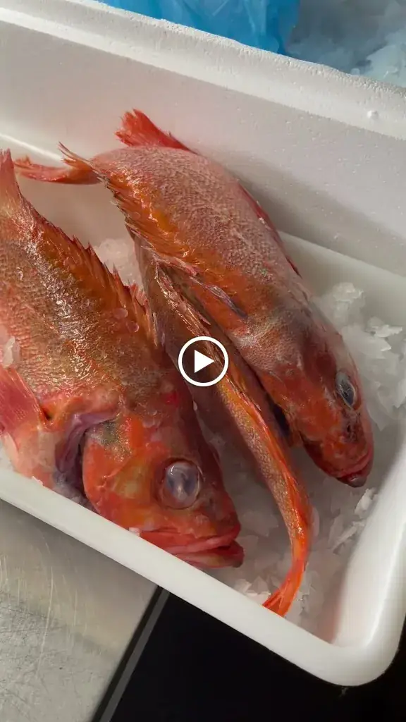 Mange Tout_Oostende_slider_image_2