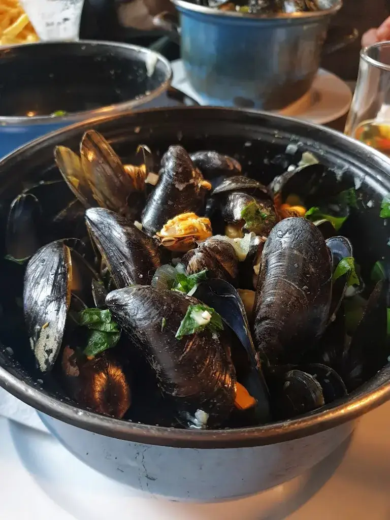 Ella Miu_Aquamarine _Oostende_review