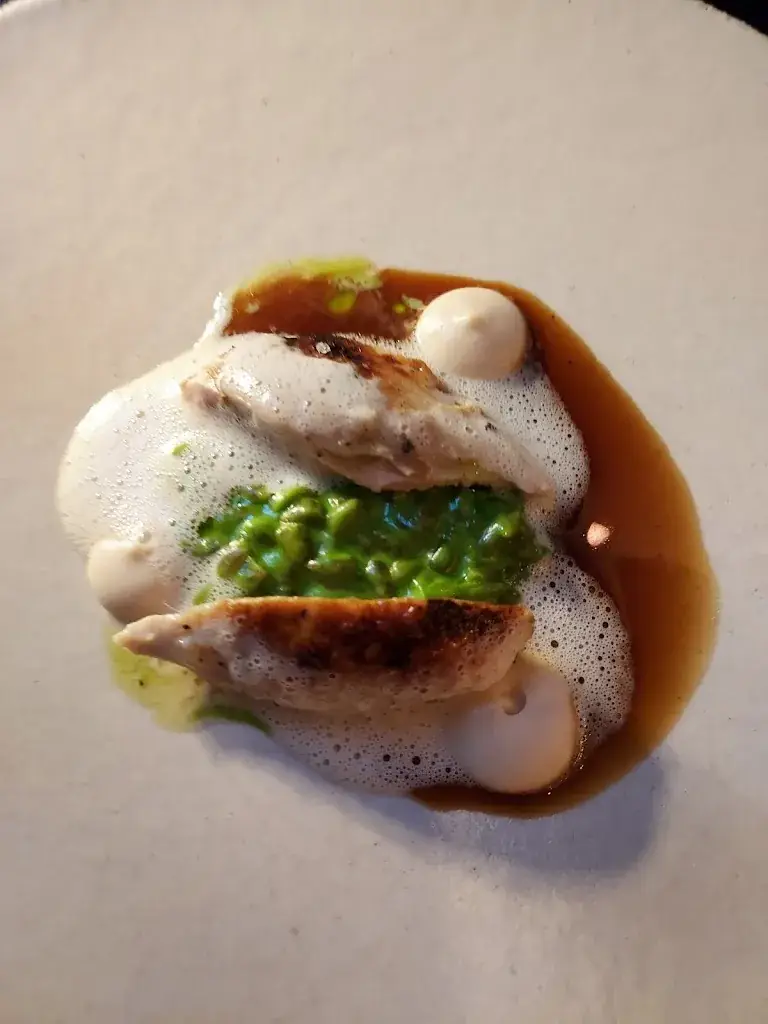 Masumi H._EED_Leuven_review