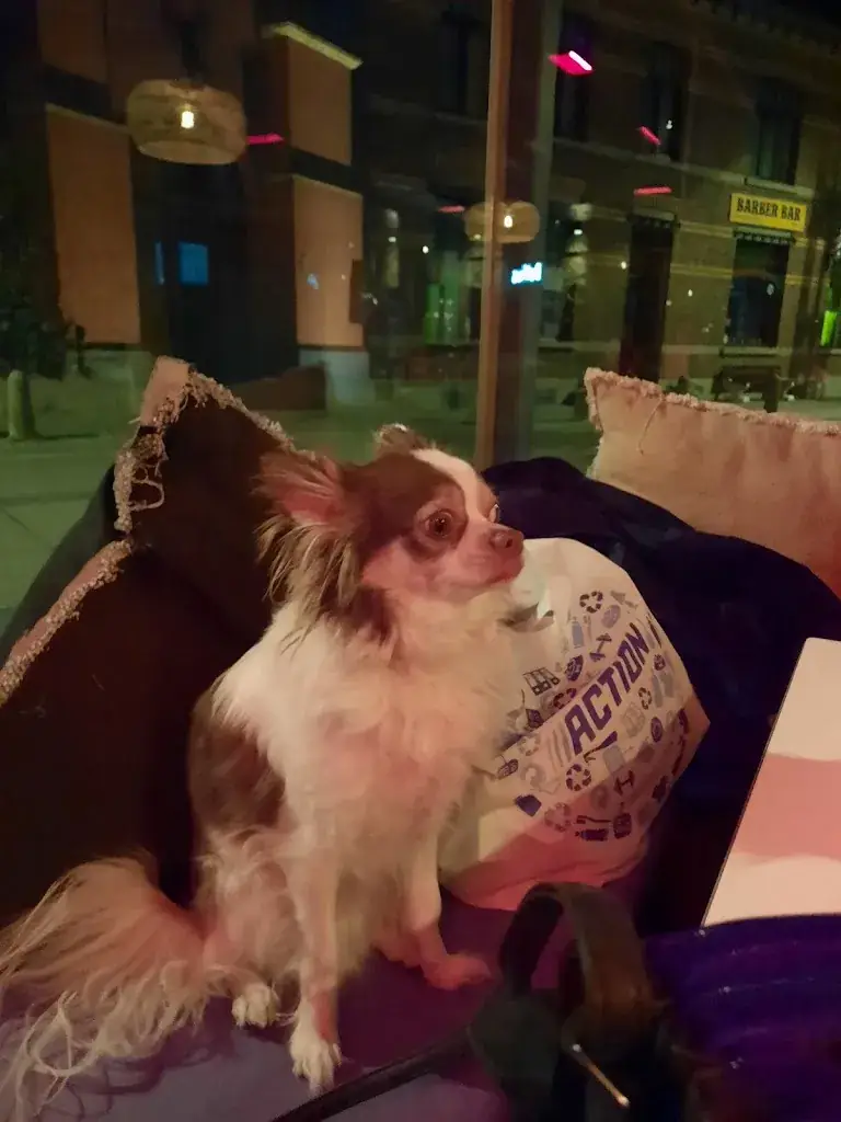 Brasserie 'T Oud Stadthuys_Peer_slider_image_3