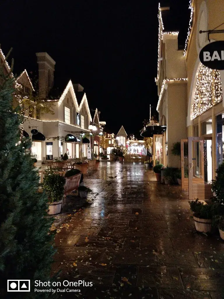 Vivek Kumar_Hotel brasserie de Boskar Peer_Peer_review