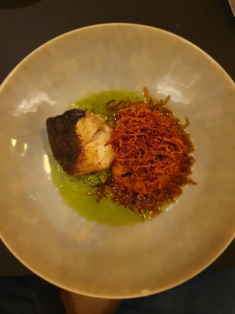 Dirk von Kries_Resto Wald_Rotselaar_review