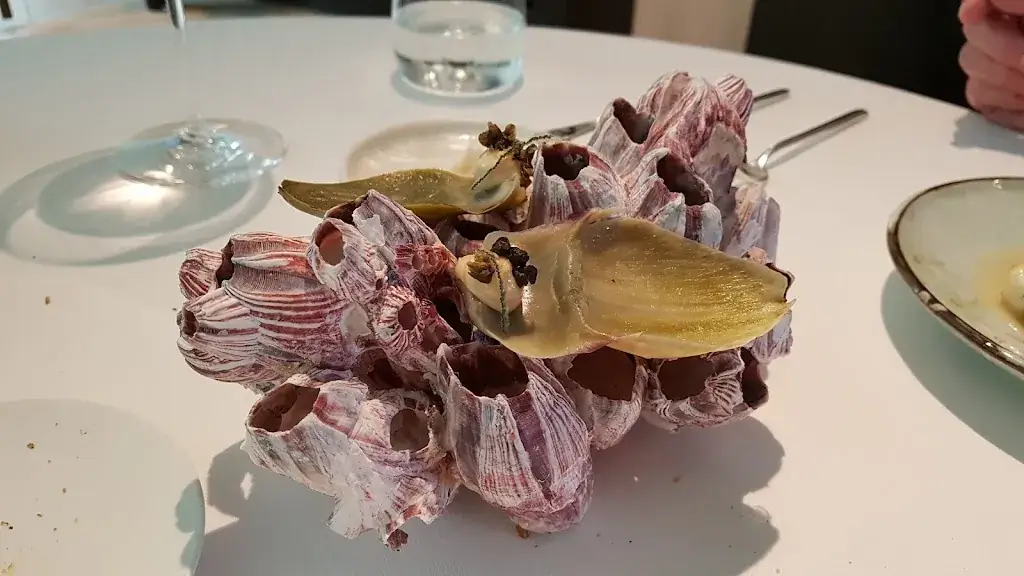 Menu_Boury_Roeselare_imagen_9