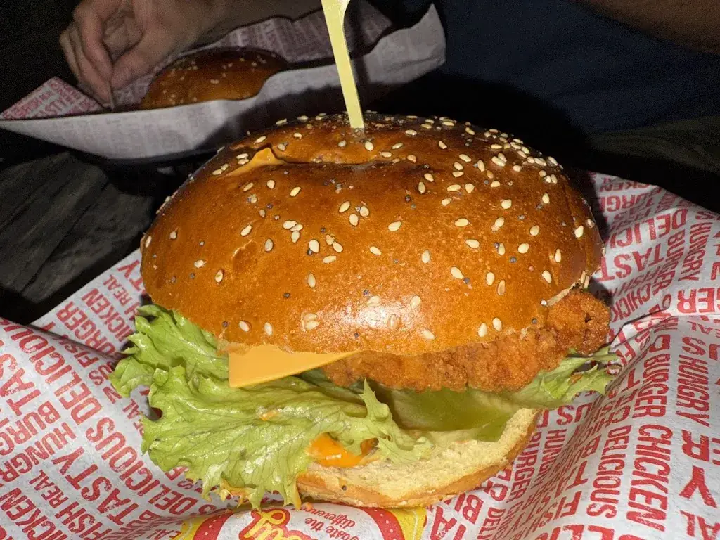 Bert De Zutter_Burger house_Ronse_review