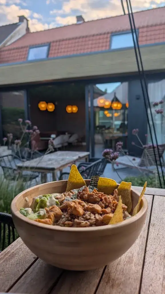 Daniel Van Camp_Let's Poké Ronse_Ronse_review