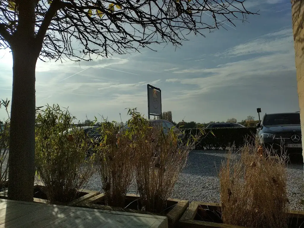 Carl Stiegler_Bistro GOZAR_Kontich_review