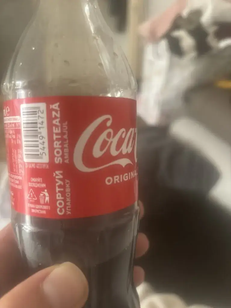 Robelus Frederique_Frituur De Mikman_Schelle_review