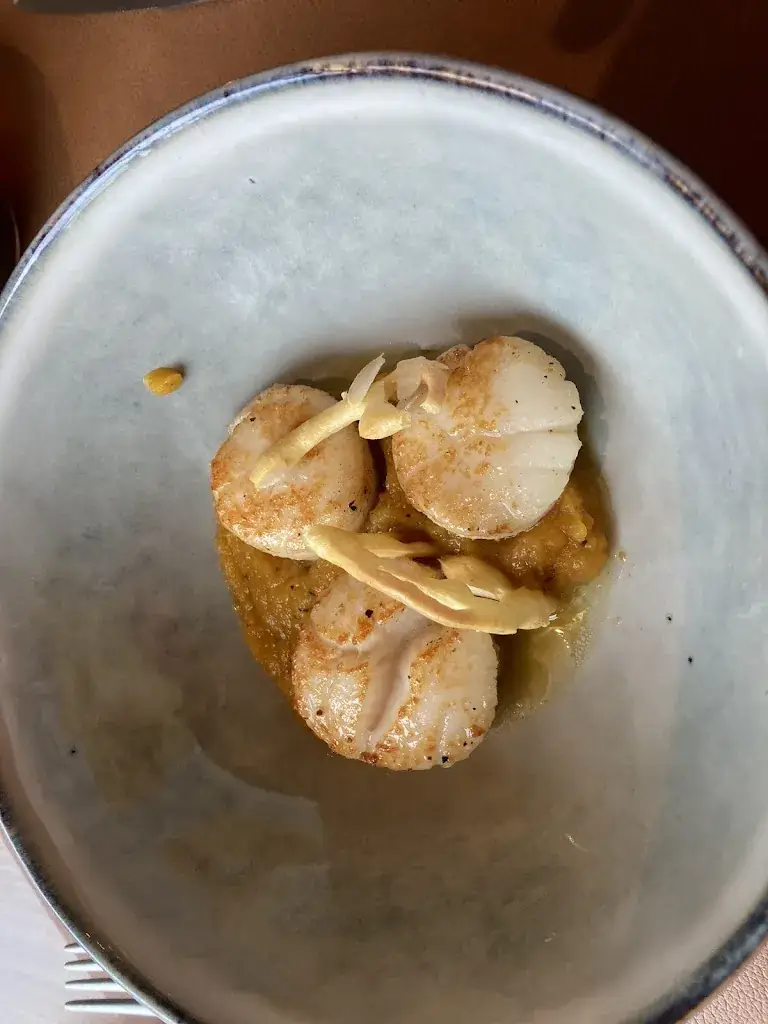 Anneke Cattery Rinacci_Cecile's_Sint-Laureins_review