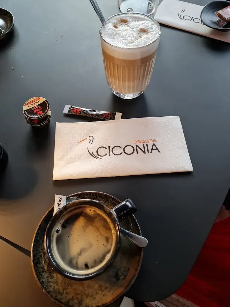 Menu_Brasserie Ciconia_Schoten_image_3