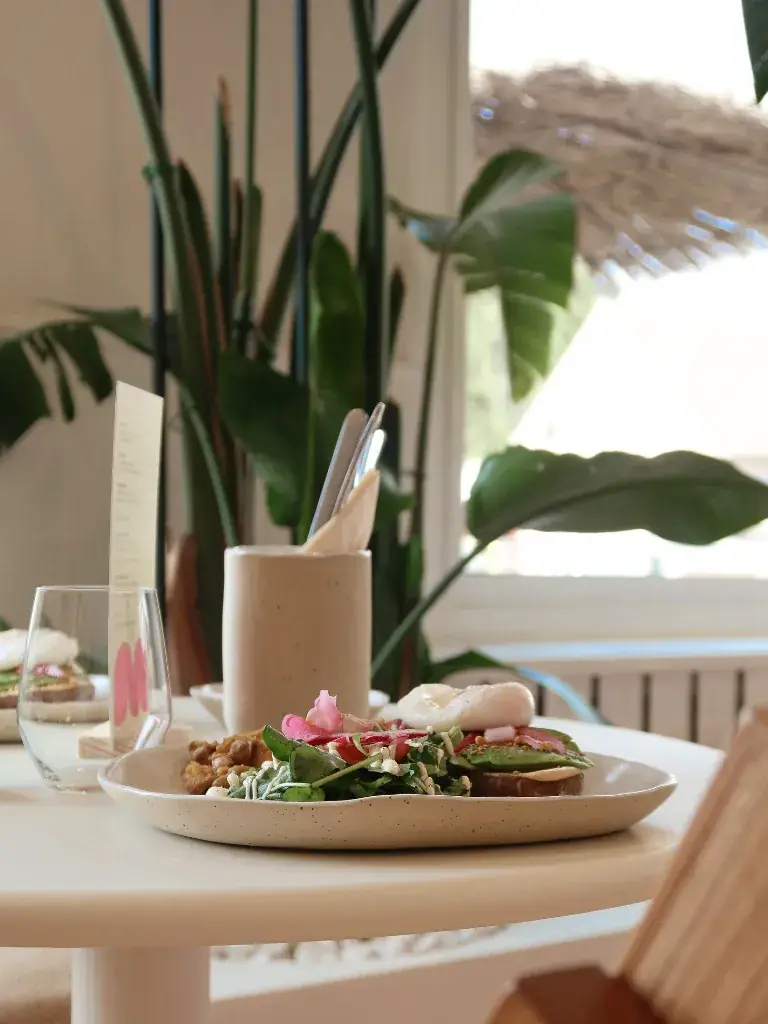 Menü_mihomi_Schoten_Bild_7