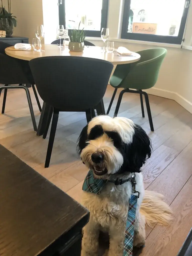 Sabrina Yang_Bistro Rombaux_Brugge_review