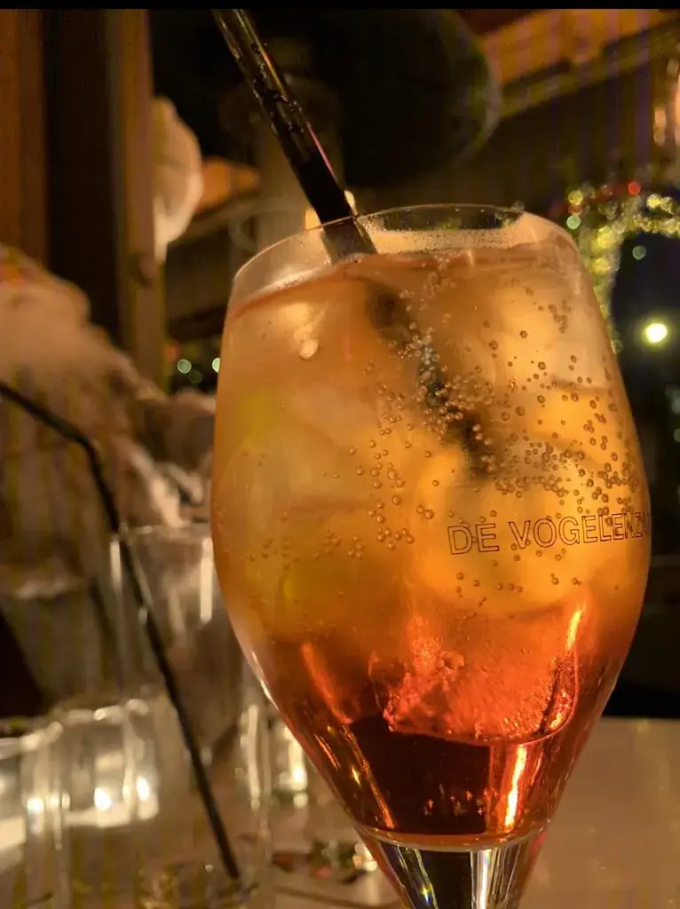 Menü_De Vogelenzang_Schilde_Bild_7